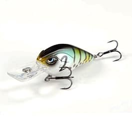 NEED2FISH PP-Cranky.S